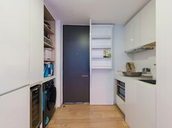 Skysuites@Anson (D2), Apartment #588879081